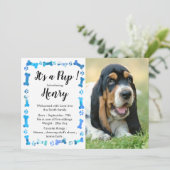 Nieuwe papaver - nieuw gezelschapsdier - Blue Boy  Aankondiging (Staand voorkant)