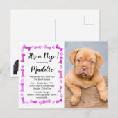 Nieuwe papaver - roze meisje - nieuw compact - hon aankondigingskaart (Voorkant / Achterkant)