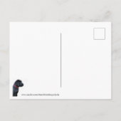 Nieuwe papaver - roze meisje - nieuw compact - hon aankondigingskaart (Achterkant)