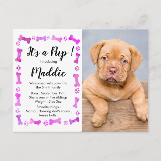 Nieuwe papaver - roze meisje - nieuw compact - hon aankondigingskaart (Voorkant)