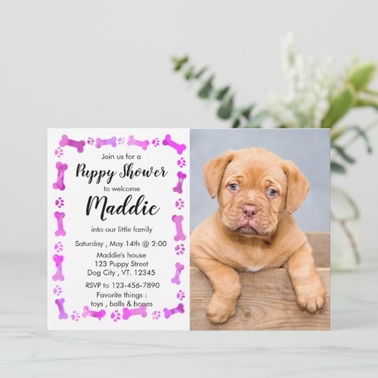 Nieuwe papaver - roze meisje - nieuw compact - hon kaart (Staand voorkant)