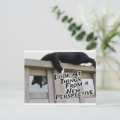 Nieuwe perspectieven briefkaart (Staand voorkant)