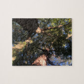 Nieuwe perspectieven legpuzzel (Horizontaal)