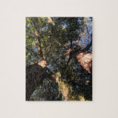 Nieuwe perspectieven legpuzzel (Verticaal)