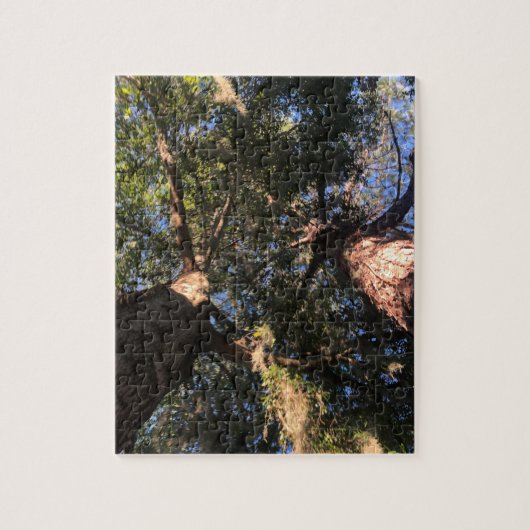 Nieuwe perspectieven legpuzzel (Verticaal)