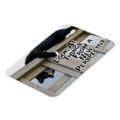 Nieuwe perspectieven magneet (Linkerzijde)