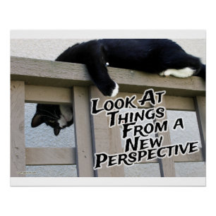 Nieuwe perspectieven motiveren Kat Foto Kunst Poster