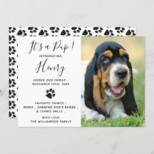 Nieuwe Pet Dog Puppy kondiging