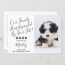 Nieuwe Pet Dog Puppy Shower