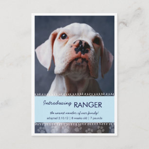 Nieuwe Pet Male Blue Paw-afdrukken voor Jongen Aan Aankondiging