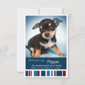 Nieuwe Pet Male Blue Stripes for Boy aankondiging (Voorkant)