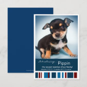 Nieuwe Pet Male Blue Stripes for Boy aankondiging (Voorkant / Achterkant)