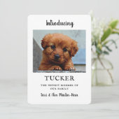 Nieuwe Pet Photo Announcement-kaart Kaart (Staand voorkant)