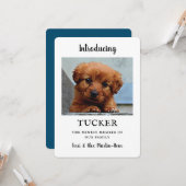 Nieuwe Pet Photo Announcement-kaart Kaart (Voorkant / Achterkant in situ)
