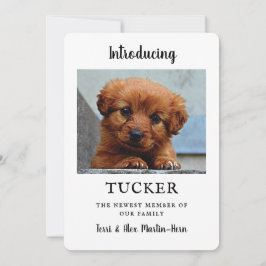 Nieuwe Pet Photo Announcement-kaart Kaart