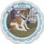 Nieuwe Pet Puppy Custom Dog Foto Sticker (Voorkant)