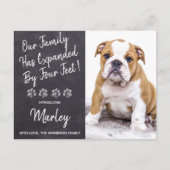 Nieuwe Pet Puppy Hondendouche Uitnodiging (Voorkant)