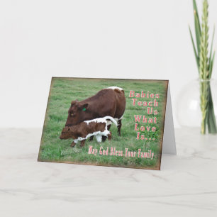 Nieuwe Pinzgauer- baby-past het aan Kaart