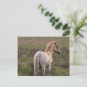 Nieuwe Pony op de bosgrond Briefkaart (Staand voorkant)
