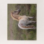 Nieuwe Pony op de bosgrond Legpuzzel (Verticaal)