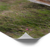 Nieuwe Pony op de bosgrond Poster (Hoek)