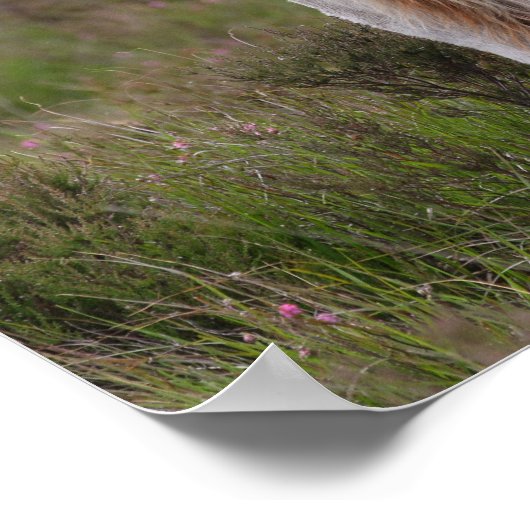 Nieuwe Pony op de bosgrond Poster (Hoek)