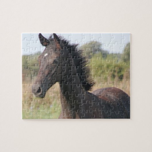 Nieuwe Pony/paard Legpuzzel (Horizontaal)