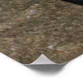 Nieuwe Pony/paard Poster (Hoek)