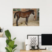 Nieuwe Pony/paard Poster (Thuiskantoor)