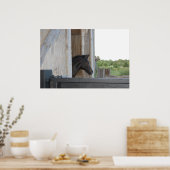 Nieuwe Pony/paard Poster (Keuken)