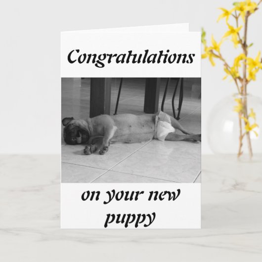 Nieuwe pop kaart (Gele Bloem)