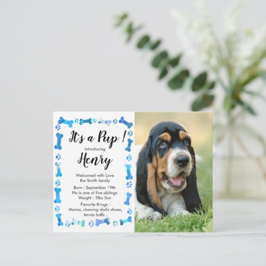Nieuwe Pup Nieuwe Huisdier- Blauwe Jongen Hond Pup Briefkaart (Staand voorkant)
