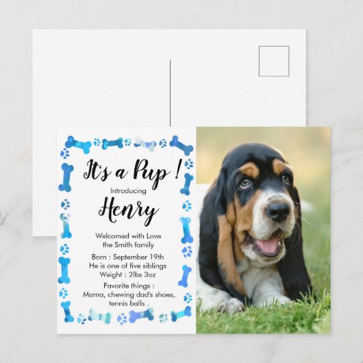 Nieuwe Pup Nieuwe Huisdier- Blauwe Jongen Hond Pup Briefkaart (Voorkant / Achterkant)