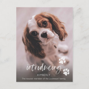 Nieuwe puppy aankondiging, adoptie volwassen hond briefkaart