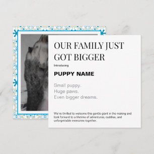 Nieuwe Puppy Foto Aankondigingskaart Feestdagenkaart