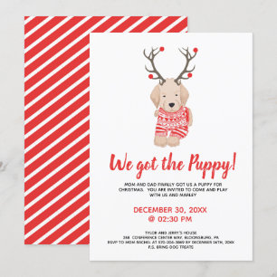Nieuwe Puppy Kerst Kinderfeest Afspraak Kaart