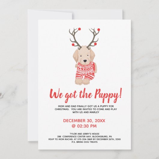 Nieuwe Puppy Kerst Kinderfeest Speelafspraak Kaart (Voorkant)