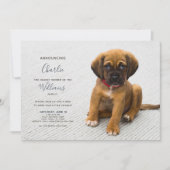 Nieuwe Puppy Kitten Aankondiging Foto (Voorkant)