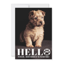 Nieuwe Puppy Kitten Aankondiging Fotokaart voor aa