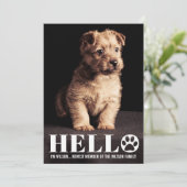 Nieuwe Puppy Kitten Aankondiging Fotokaart voor aa (Staand voorkant)