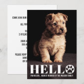 Nieuwe Puppy Kitten Aankondiging Fotokaart voor aa (Voorkant / Achterkant)