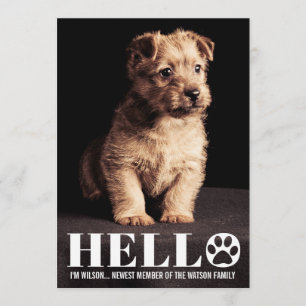 Nieuwe Puppy Kitten Aankondiging Fotokaart voor aa