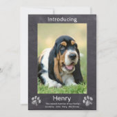 Nieuwe puppy - Maak kennis met Puppy Dog Chalkboar Aankondiging (Voorkant)