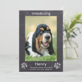 Nieuwe puppy - Maak kennis met Puppy Dog Chalkboar Aankondiging (Staand voorkant)