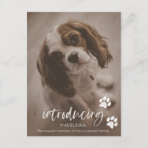 Nieuwe Puppy- of Dog-mededeling, Pet-adoptiekaart Briefkaart