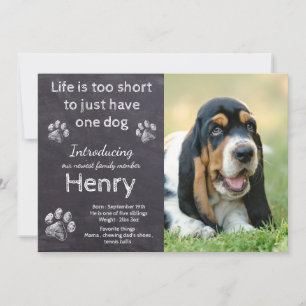 Nieuwe puppy - Rustic Pet Dog Photo Chalkboard Pup Aankondiging