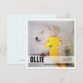 Nieuwe Puppy-toepassing | Aankondiging van pet (Voorkant / Achterkant)