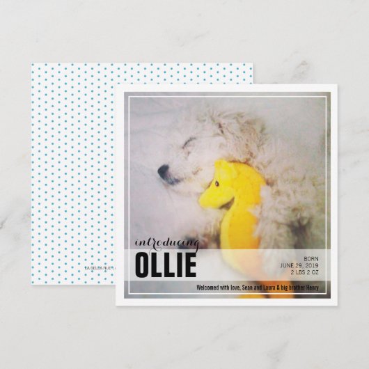 Nieuwe Puppy-toepassing | Aankondiging van pet (Voorkant / Achterkant)