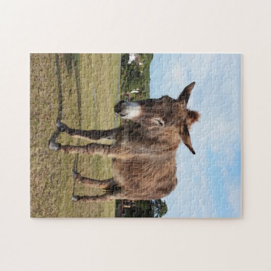 Nieuwe puzzel voor bosezelpuzzel legpuzzel (Horizontaal)