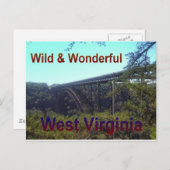 Nieuwe rivierbrug briefkaart (Voorkant / Achterkant)